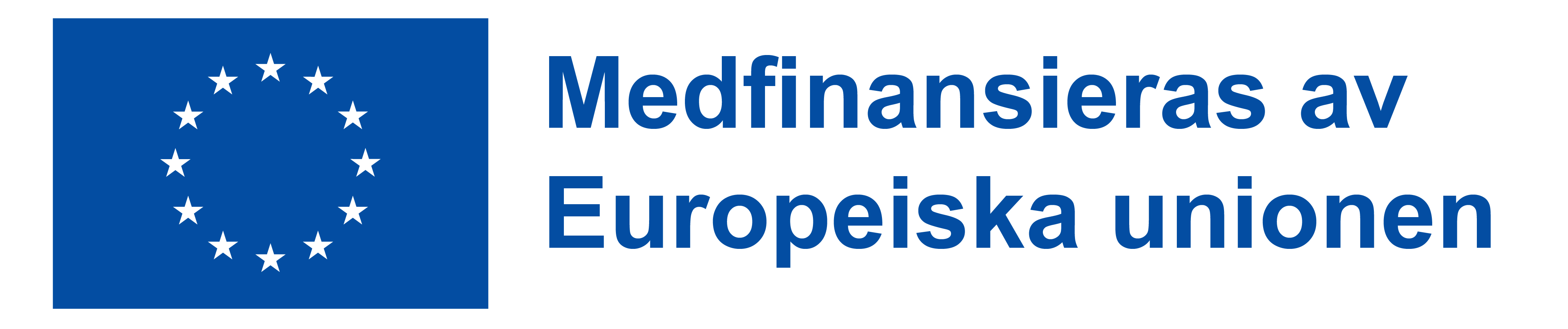 Erasmus logo